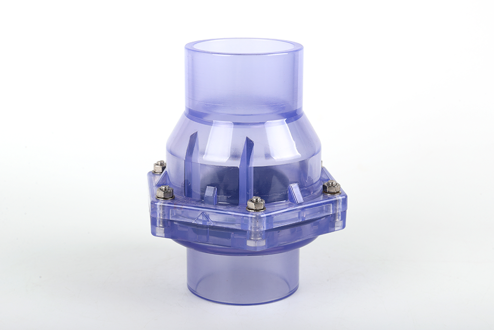 虞城透明翻板式止回阀